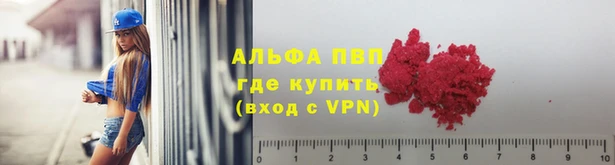 ECSTASY Баксан