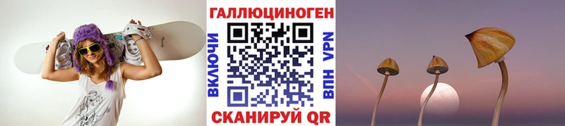 закладки  площадка телеграм  Галлюциногенные грибы MAGIC MUSHROOMS  Сердобск 